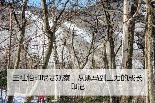 wang-zhi-yi-yin-ni-sai-guan-cha-cong-hei-ma-dao-zhu-li-de-cheng-zhang-yin-ji-2-605.jpg