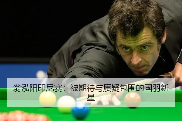weng-hong-yang-yin-ni-sai-bei-qi-dai-yu-zhi-yi-bao-wei-de-guo-yu-xin-xing-2-421.jpg